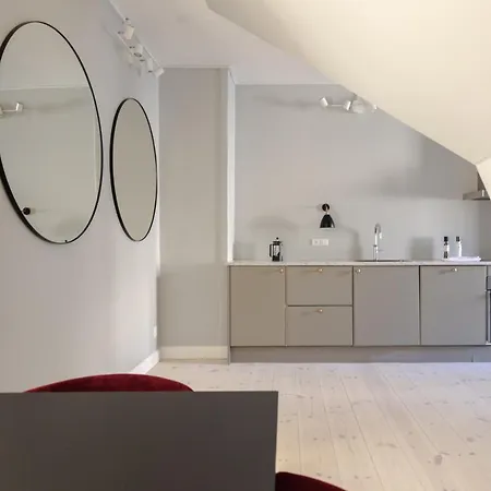 Luxury W Privat Rooftop Terrace - Cph C Appartement *